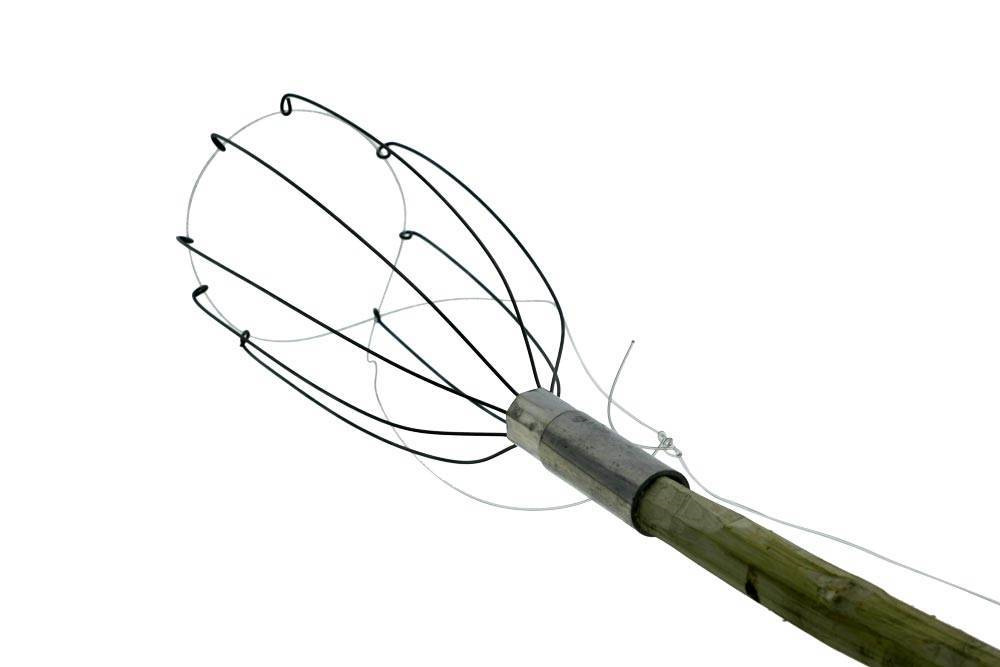 Плодосборник Плодосборник